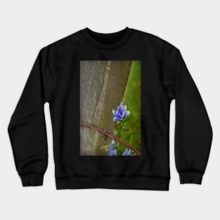 cornflower blue 'n' barb Crewneck Sweatshirt